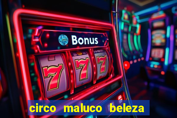 circo maluco beleza recife circo maluco